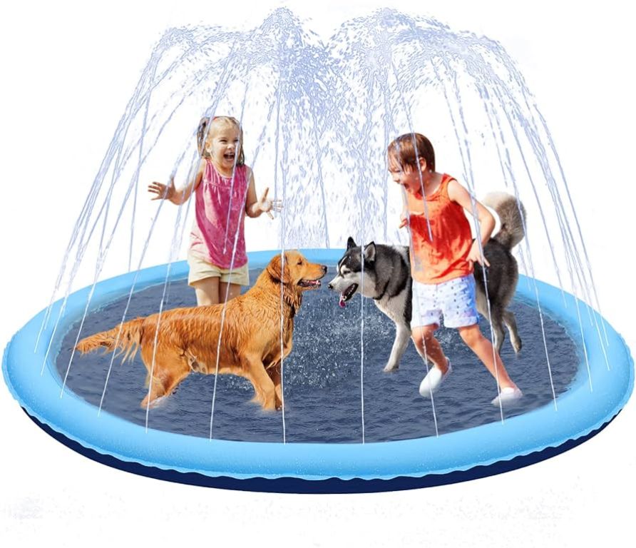 a dog having fun on a splash pad