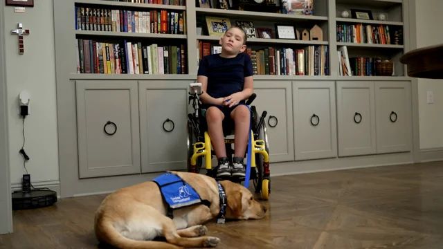 Tail Wagging Tunes: Music Therapy For Dogs