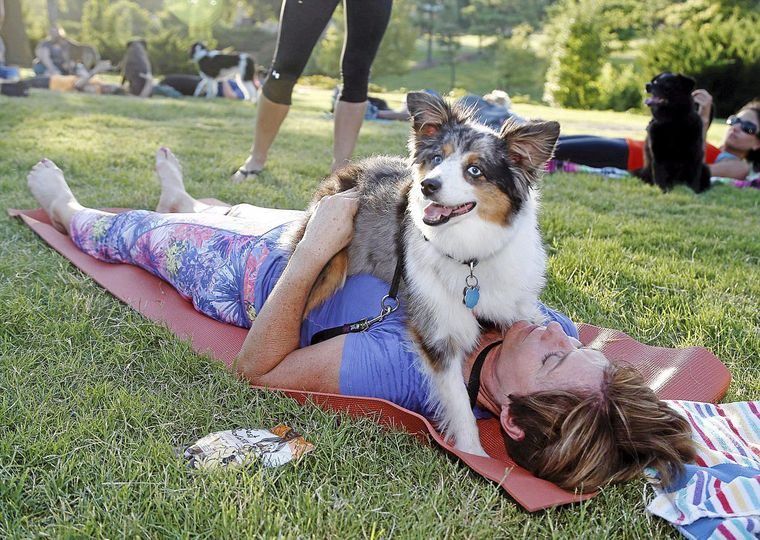 a person and their dog doing yoga together outdoors