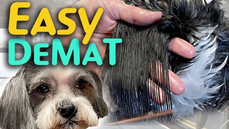 Dematting Your Dog’S Hair: Gentle Methods For Tangled Fur