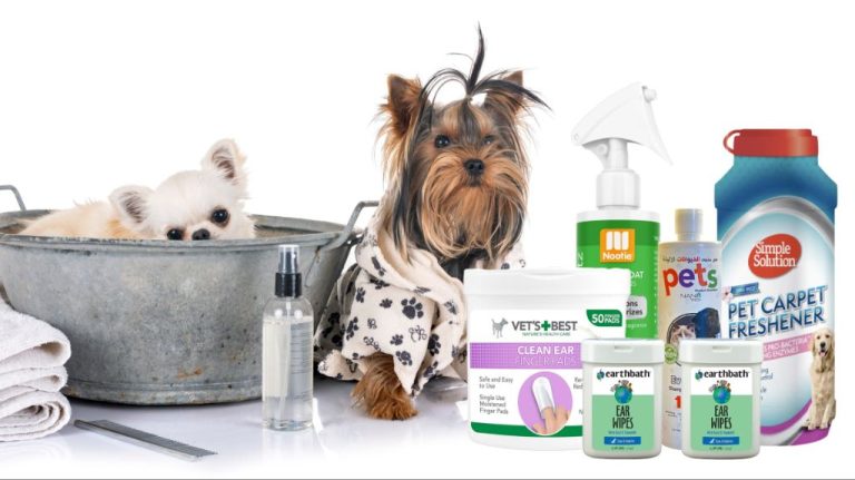 Essential Dog Grooming Supplies: A Complete Guide