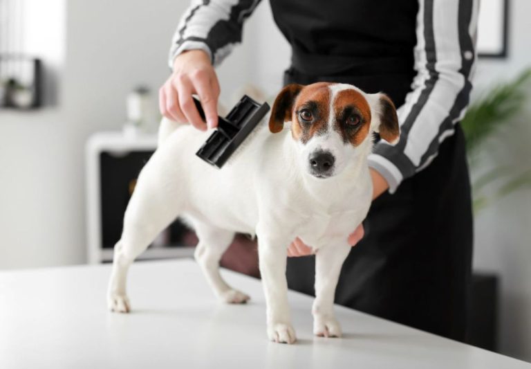Tailoring Your Grooming Routine To Your Dog’S Breed And Lifestyle