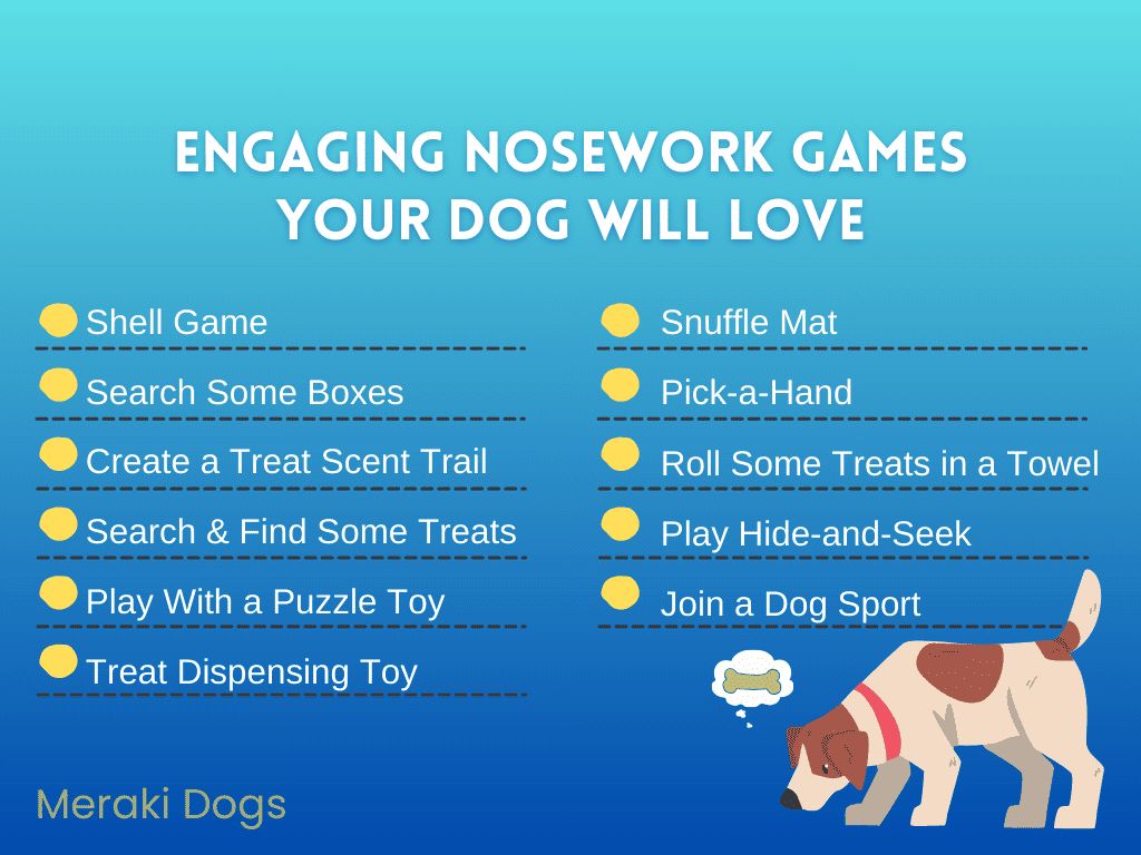 nosework games provide dogs mental stimulation through scent searching