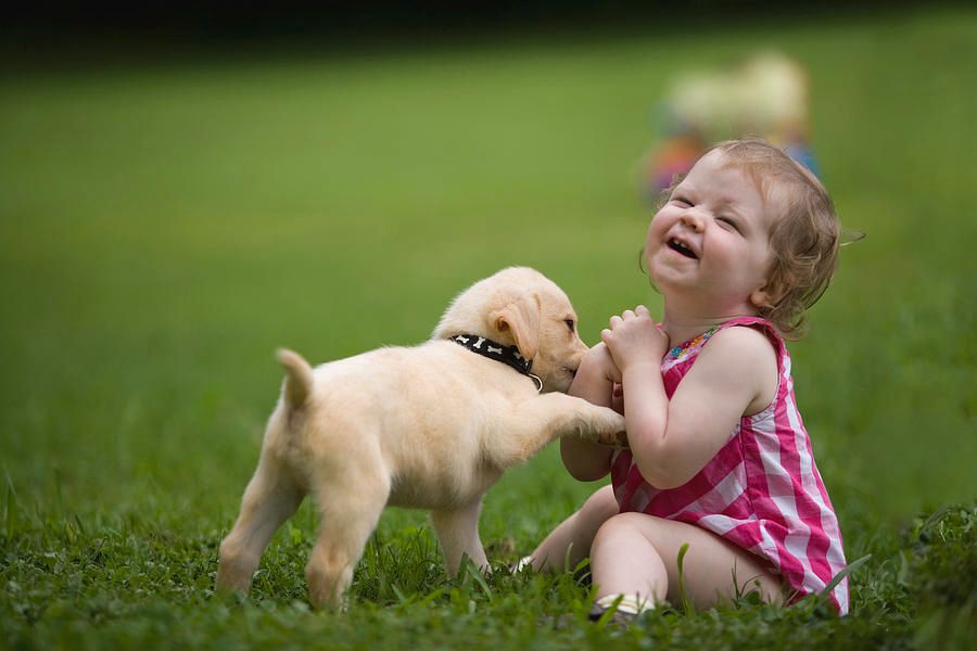picture of a puppy playing with a child
