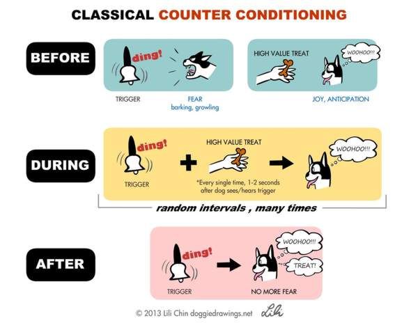 using counterconditioning and desensitization together can help change an animal's emotional response from fear to calmness