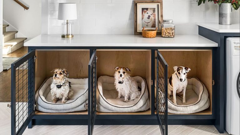 A Beginner’S Guide To Creating A Dog-Friendly Home Environment